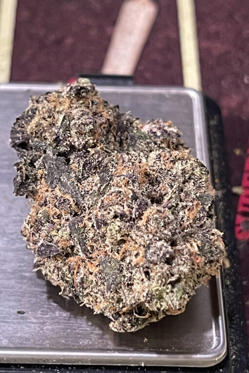 TROPICAL ZKITTLEZ 4GRAMS 🏝️SUMMER SALE🏝️🔥31%THC INDICA - Image 5