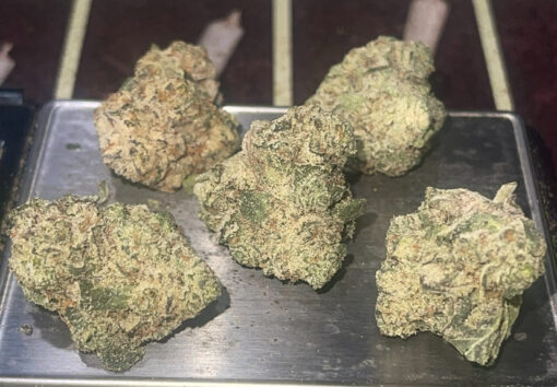 LIME GREEN SKUNK 8GRAM BAGS 🏝️🔥SUMMER SALE 🏝️🔥32%THC  SATIVA EXOTIC SMALL NUGS 🔥🔥 - Image 5