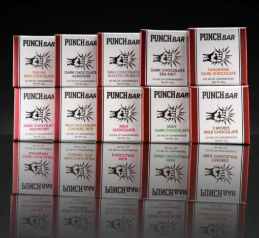 PUNCH BARS 225mg 🏝️🔥SUMMER SUPER SALE🏝️🔥   6 for $100 - Image 3
