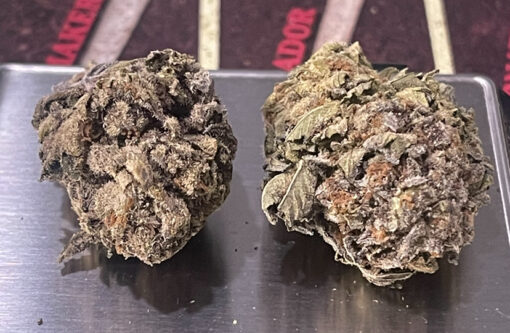 CHERRYLATO 🍒10GRAMS QUARTER 26%THC HYBRID - Image 4