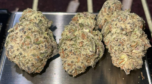 MARSHMALLOWZ 28grams OZ ON SALE  HYBRID 28%THC(ALLIEN GENETICS) - Image 2