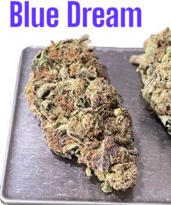 BLUE DREAM 7GRAMS QUARTER 28%THC SATIVA 🔥🔥