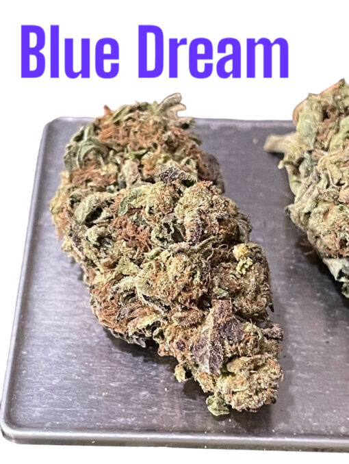 BLUE DREAM 7GRAMS QUARTER 28%THC SATIVA 🔥🔥 NEW BATCH 🔥🔥