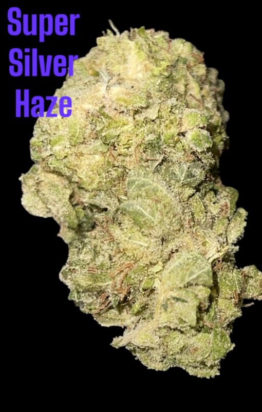 SUPER SILVER HAZE  3.5g ON SALE 35%THC 🏆🏆 SATIVA