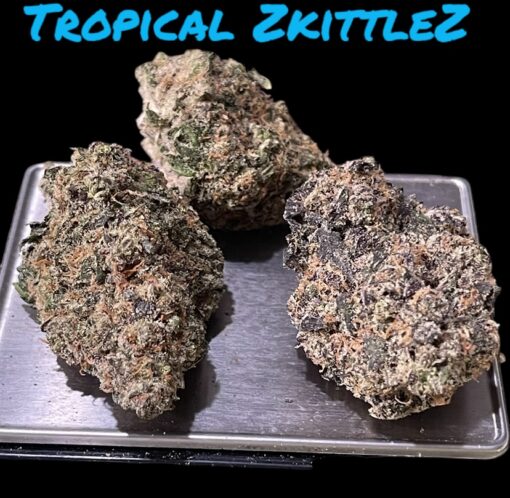 TROPICAL ZKITTLEZ 4GRAMS 🏝️SUMMER SALE🏝️🔥31%THC INDICA