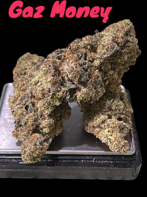GAZ MONEY 3.5grams INDICA 34%THC🔥🔥  (DNA GENETICS)