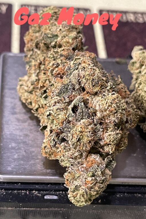GAZ MONEY 3.5grams INDICA 34%THC🔥🔥  (DNA GENETICS) - Image 3