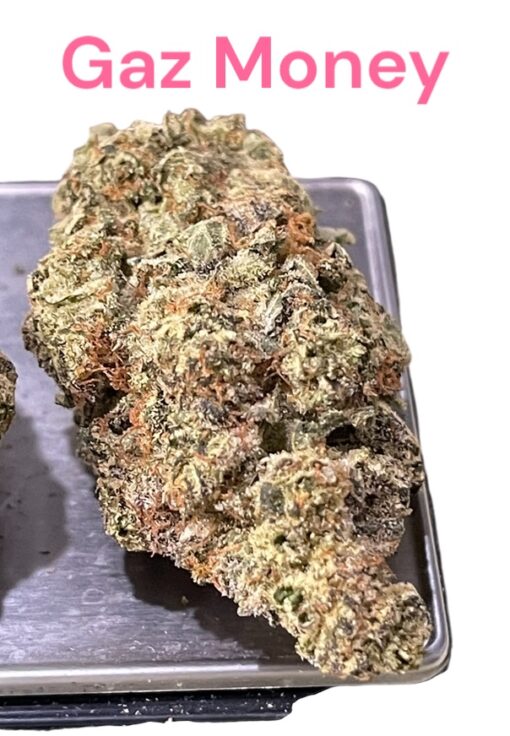 GAZ MONEY 3.5grams INDICA 34%THC🔥🔥  (DNA GENETICS) - Image 2
