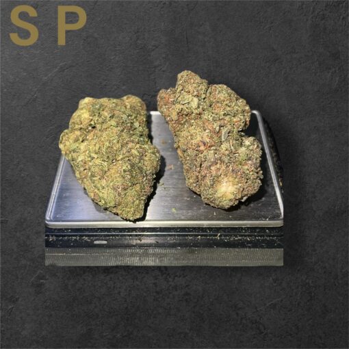 SPRINKLEZ 28g Oz On SALE 26%THC HYBRID 26 - Image 3