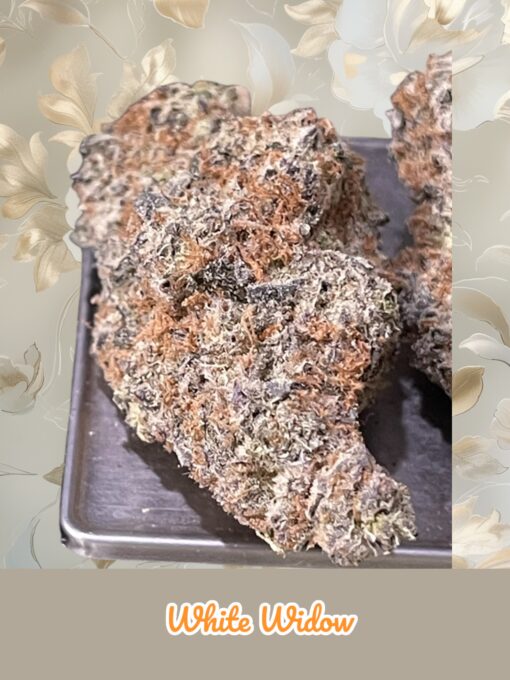 WHITE WIDOW 3.5g SATIVA INDOOR 33%THC MEMORIAL DAY - Image 2