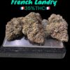 FRENCH LAUNDRY🇫🇷3.5grams HYBRID EXOTICS 35%THC (MAVEN GENETICS)LIMITED EXOTICS