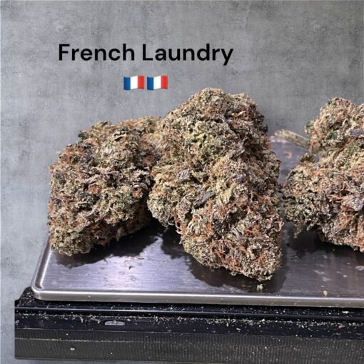FRENCH LAUNDRY🇫🇷3.5grams HYBRID EXOTICS 35%THC (MAVEN GENETICS)LIMITED EXOTICS - Image 4