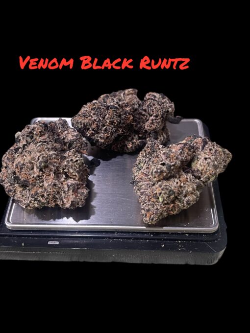 VENOM  RUNTZ 3.5grams  EXOTIC 36%THC INDICA 🏆🔥ZAZA🏆🔥 - Image 2