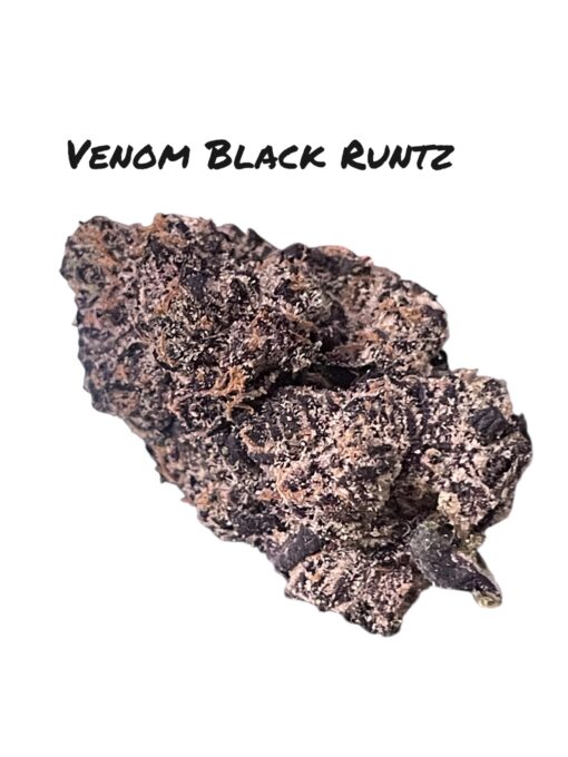 VENOM  RUNTZ 3.5grams  EXOTIC 36%THC INDICA 🏆🔥ZAZA🏆🔥
