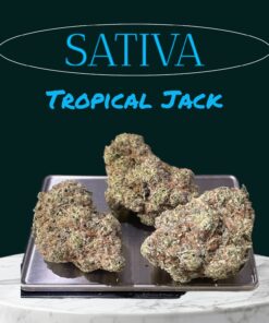 TROPICAL JACK 28grams OZ 37%THC SATIVA LIMITED BATCH 🏝️🔥