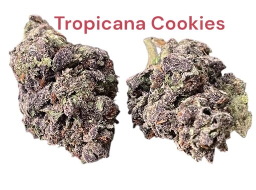 TROPICANA COOKIES  28g OZ SATIVA ON SALE $120 - Image 2