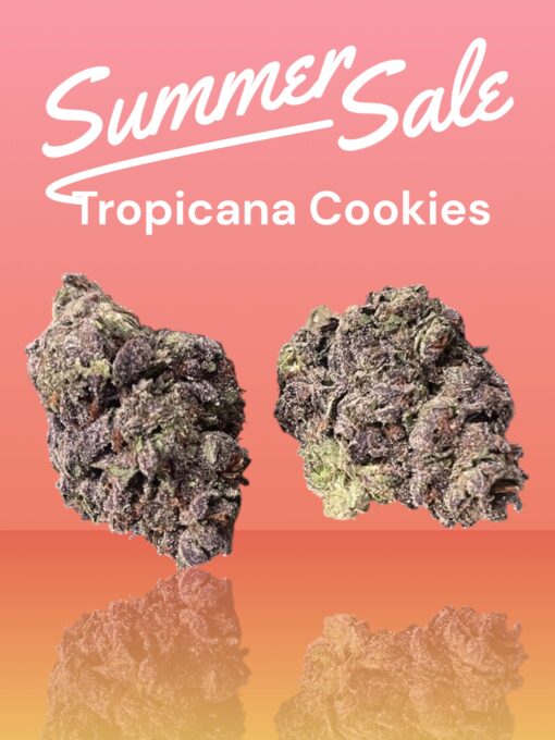 TROPICANA COOKIES  28g OZ SATIVA ON SALE $120