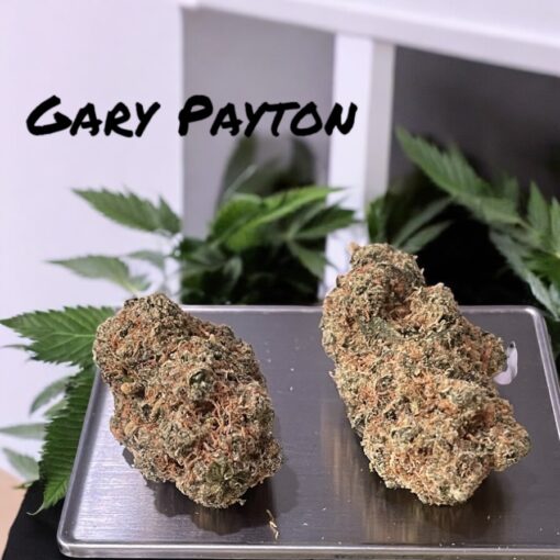 GARY PAYTON 4GRAMS HYBRID 30%THC🏝️🔥SUMMER SALE🏝️🔥 - Image 3