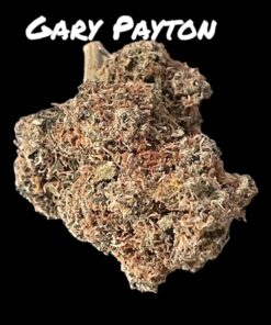 GARY PAYTON 4GRAMS HYBRID 30%THC🏝️🔥SUMMER SALE🏝️🔥