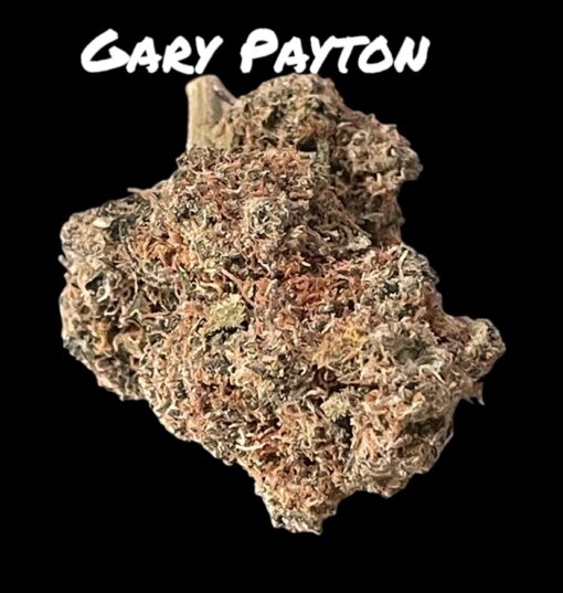 GARY PAYTON 4GRAMS HYBRID 30%THC🏝️🔥SUMMER SALE🏝️🔥