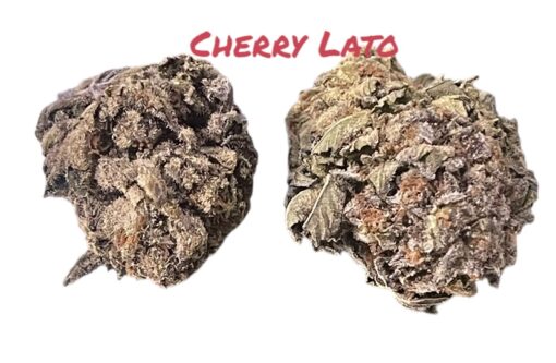 CHERRYLATO 🍒10GRAMS QUARTER 26%THC HYBRID - Image 2