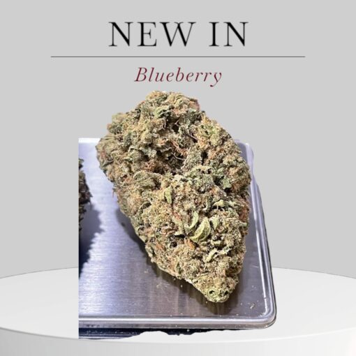 BLUBERRY 🫐🫐7GRAMS QUARTER 28%THC INDICA 🔥🔥 - Image 2