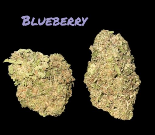 BLUBERRY 🫐🫐7GRAMS QUARTER 28%THC INDICA 🔥🔥