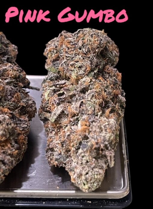 PINK GUMBO 28g OZ 36%THC 🔥🔥EXOTICS INDICA🔥🔥 ZAZA🏆 - Image 2