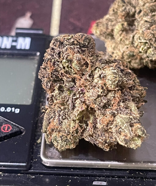 SOUND WAVE 3.5 g 37%THC HYBRID (PERMANENT HOLIDAY) 🔥🔥EXOTICS🔥🔥 - Image 6