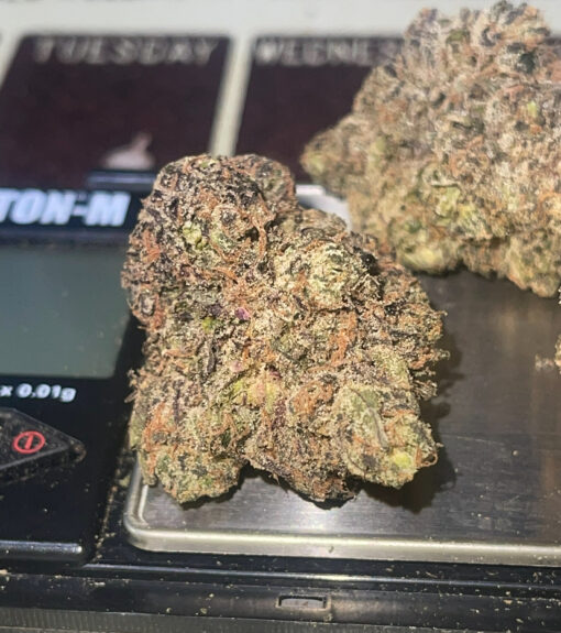 SOUND WAVE 3.5 g 37%THC HYBRID (PERMANENT HOLIDAY) 🔥🔥EXOTICS🔥🔥 - Image 5