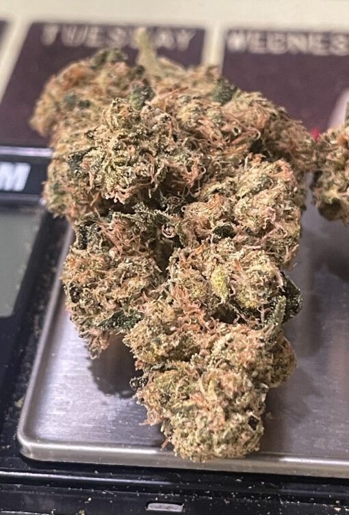 MAMBA 🖤 24 3.5G INDICA EXOTICS 25%THC 🔥🔥 - Image 7