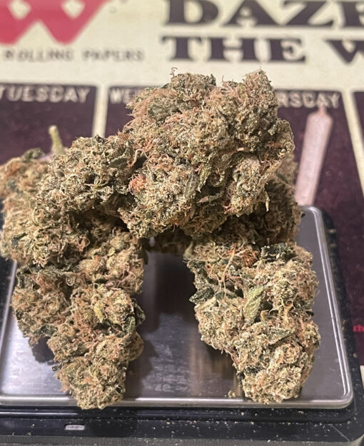 MAMBA 🖤 24 3.5G INDICA EXOTICS 25%THC 🔥🔥 - Image 6