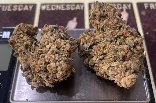 PINNEAPPLE EXPRESS 7 GRAMS QUARTER  28%THC SATIVA - Image 5