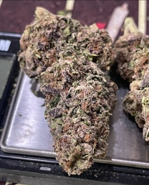FISH SCALE 28grams Oz on SALE 26%THC HYBRID - Image 6