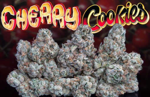 CHERRY COOKIES 3.5G INDICA 33%THC 🔥🔥 - Image 2