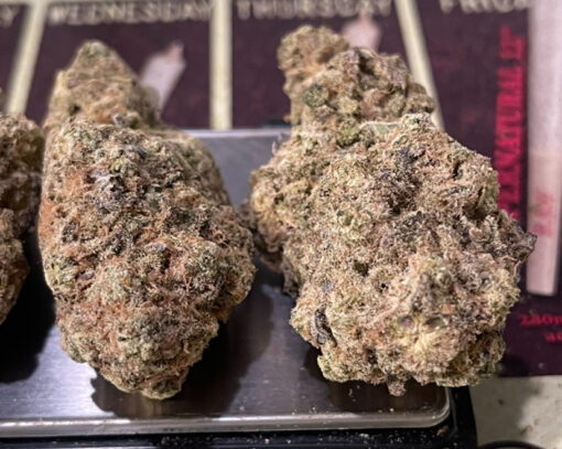 PABLOS REVENGE 4 GRAMS HYBRID 🏝️🔥SUMMER SALE🏝️🔥 30%THC - Image 5