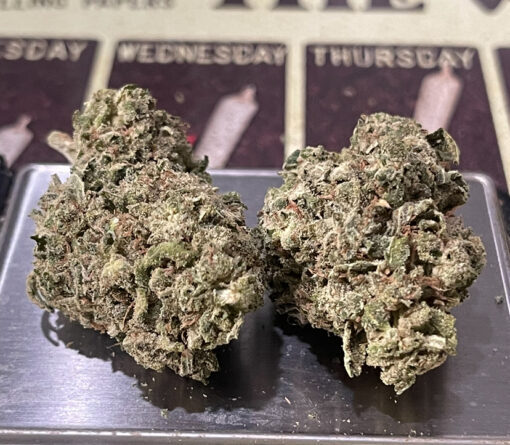 JUNGLE GLUE 4GRAMS HYBRID 🏝️🔥SUMMER SALE🏝️🔥30%THC - Image 5