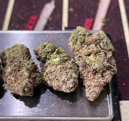 BLUE CHEESE  28grams OZ INDICA ON SALE 28%THC 🏝️🔥 SUMMER SALE🏝️🔥 - Image 5