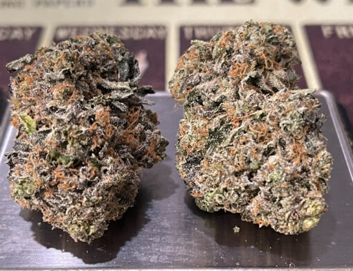 BLUE TOMYZ 28grams SATIVA 36%THC BACKPACK BOYS 🎒🏆🎒 - Image 6