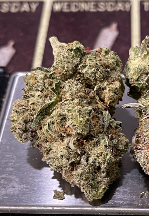 GORILLA GLUE#4 HYBRID 3.5G  🔥🔥31%THC 🏝️🔥LABOR DAY SALE 🏝️🔥 - Image 7