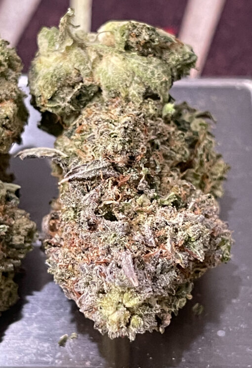 GORILLA GLUE#4 HYBRID 3.5G  🔥🔥31%THC 🏝️🔥LABOR DAY SALE 🏝️🔥 - Image 5