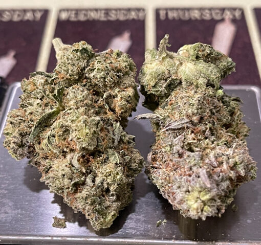 GORILLA GLUE#4 HYBRID 3.5G  🔥🔥31%THC 🏝️🔥LABOR DAY SALE 🏝️🔥 - Image 4