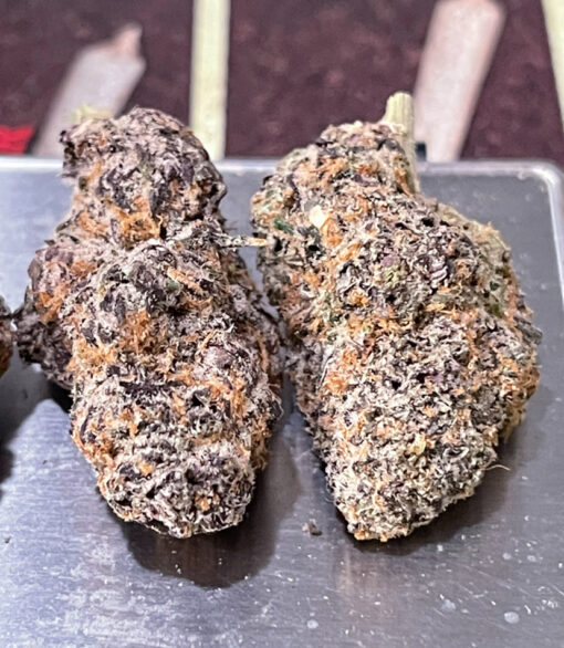 LAUGHING GAS 3.5g HYBRID 3.5g ON SALE 31%THC - Image 5