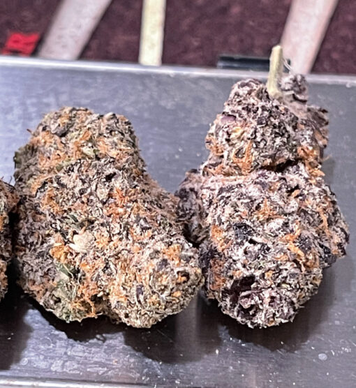 LAUGHING GAS 3.5g HYBRID 3.5g ON SALE 31%THC - Image 3