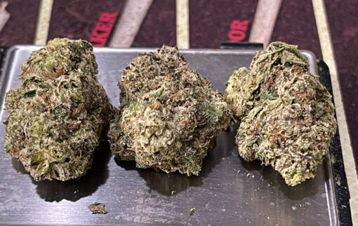 LEMON CHERRY RUNTZ 3.5G HYBRID 31%THC 🏝️🔥LABOR DAY SALE🏝️🔥 - Image 4
