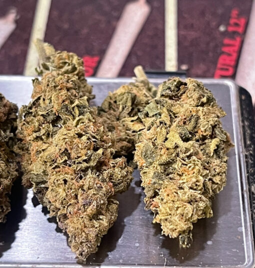 CHERRY ZOAP  7grams QUARTER HYBRID27%THC 🏝️🔥LABOR DAY SALE🏝️🔥 - Image 3