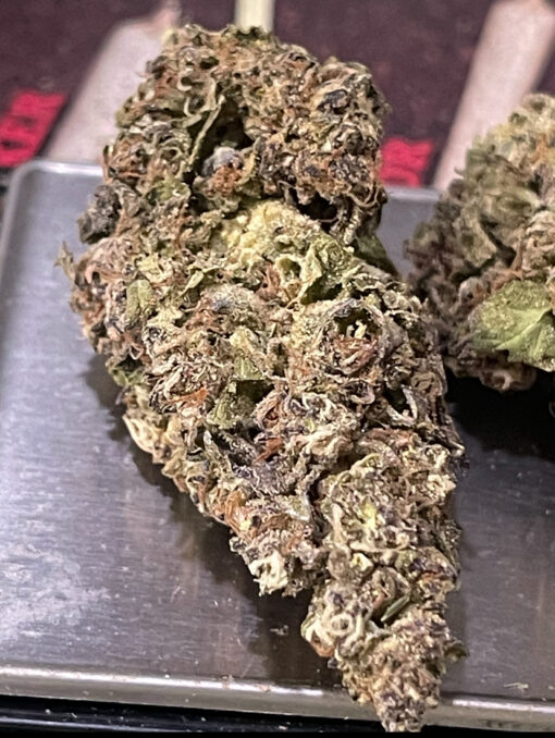 DONNIE BURGER 7GRAMS QUARTER 27%THC INDICA 🏝️🔥LABOR DAY SALE🏝️🔥 - Image 5