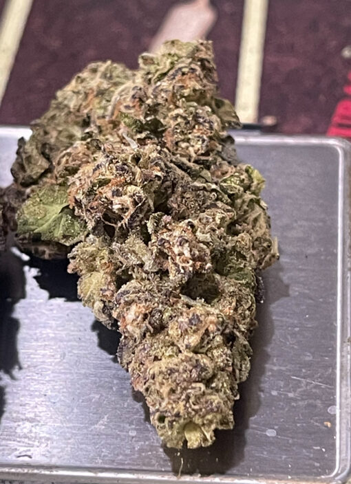 DONNIE BURGER 7GRAMS QUARTER 27%THC INDICA 🏝️🔥LABOR DAY SALE🏝️🔥 - Image 2
