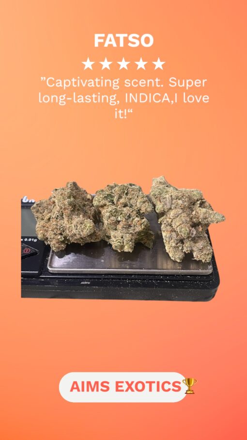 FATSO 3.5G INDICA EXOTICS 36%THC 🏆🏆(AIMS) RARE - Image 4