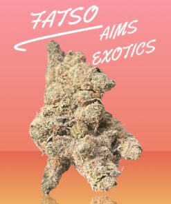 FATSO 3.5G INDICA EXOTICS 36%THC 🏆🏆(AIMS) RARE